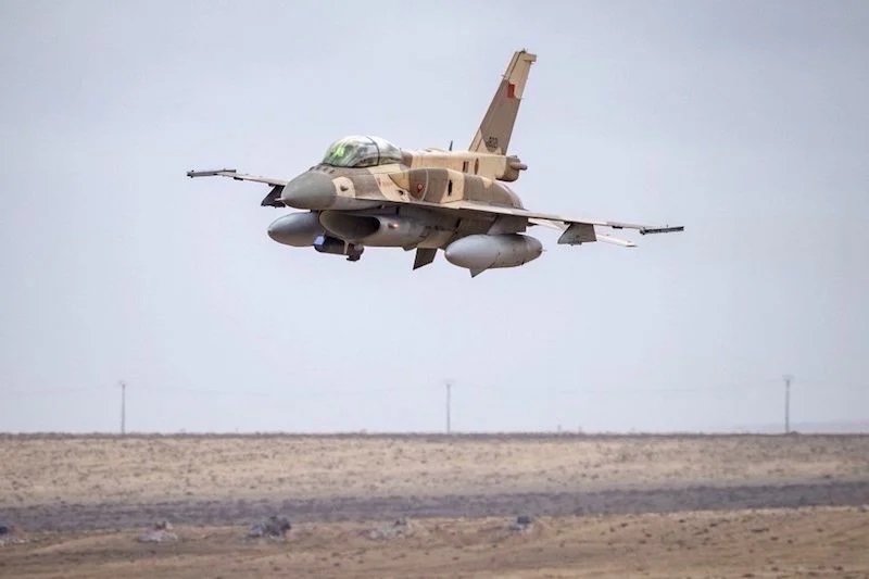 lion-afrique-armee-2